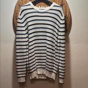 American Eagle Outfitters Blue and White Crew Neck Sweater